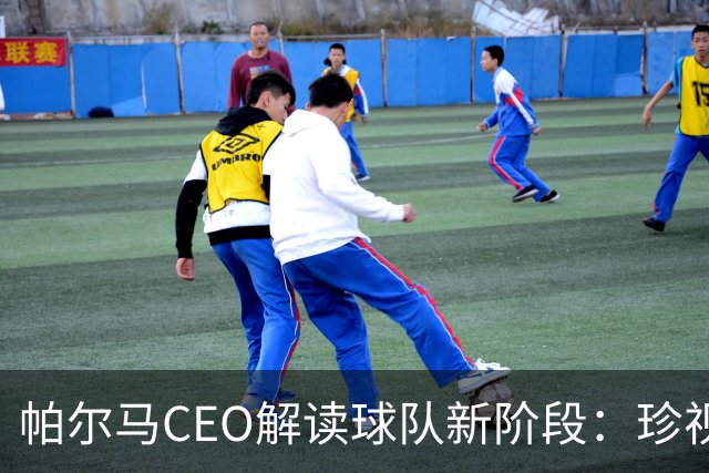 帕尔马CEO解读球队新阶段：珍视意甲机会，追求可持续发展